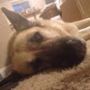 Meet your Posher, Cami